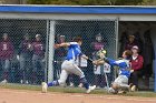 Softball vs Springfield  Wheaton College Softball vs Springfield College. - Photo by: KEITH NORDSTROM : Wheaton, Baseball